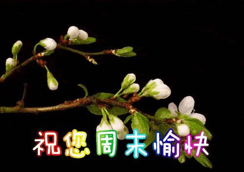 问候客户度过快乐周末的最简单句子