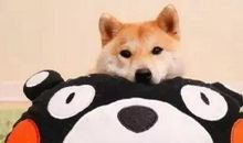 关于奶茶文案句子