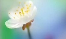 满满诗意的句子