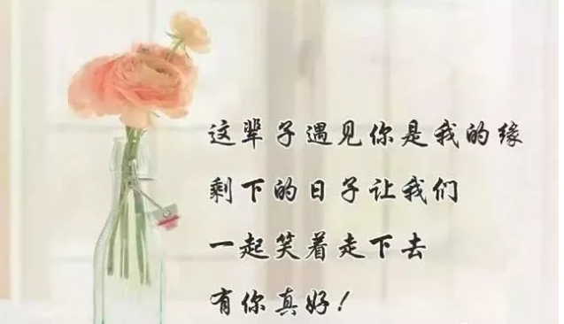 2020年最新的感恩节谢谢句子
