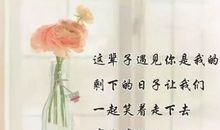 2020最新感恩节感谢的句子