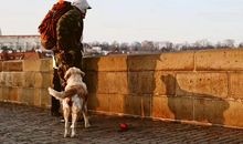 刷新三观的经典语录