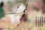 丽春名言短