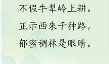 表达佛系的诗句