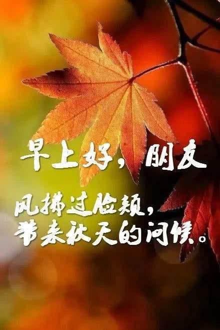 清晨引用正能量