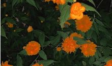 让男生抵抗不了的撒娇的话