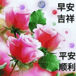 句子流畅操作