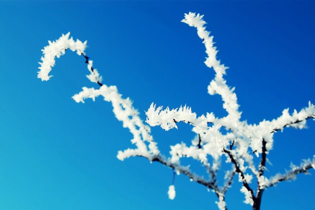 Frostdrop谈论经典句子，情绪短语