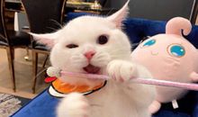 憨憨的朋友圈幽默文案 搞笑短句