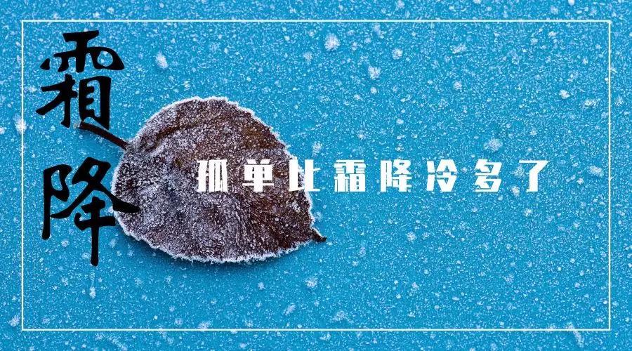 诗意的冷淡文案1