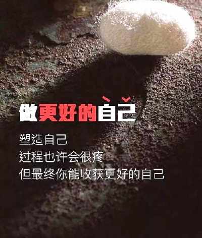 朋友的诗意圈子简短交谈