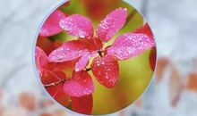 早上好微商朋友圈说说