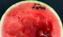 关于夏天朋友圈说说