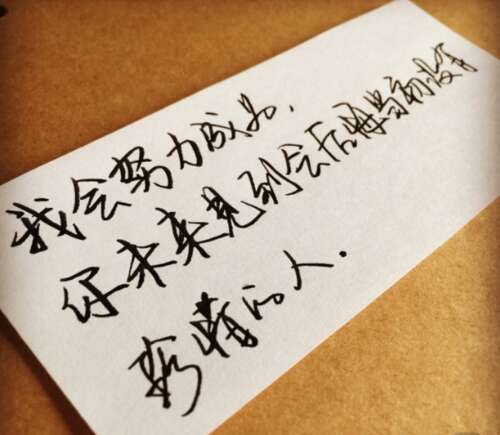 最近的豆豆句子