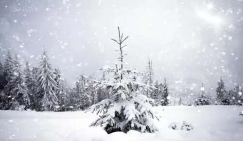 白雪皑皑的美丽短语2