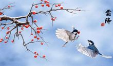 霜降的诗句 最美霜降诗词