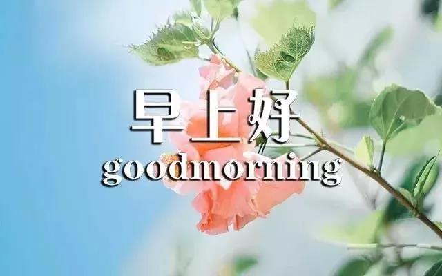 早上好最短的句子