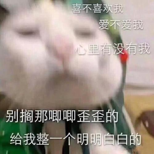 风骚的文字女孩线