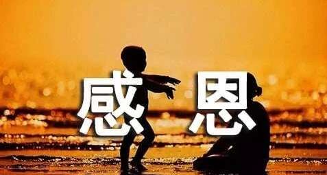 感恩父母句集2