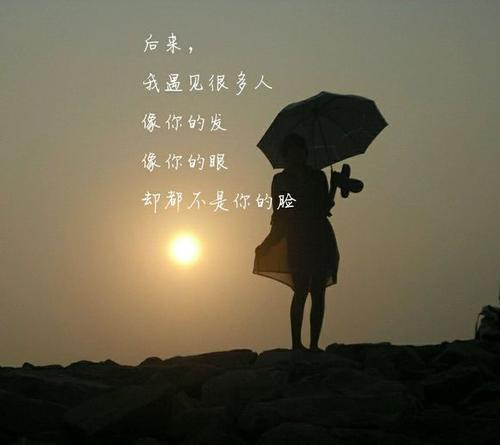 表达爱情句子