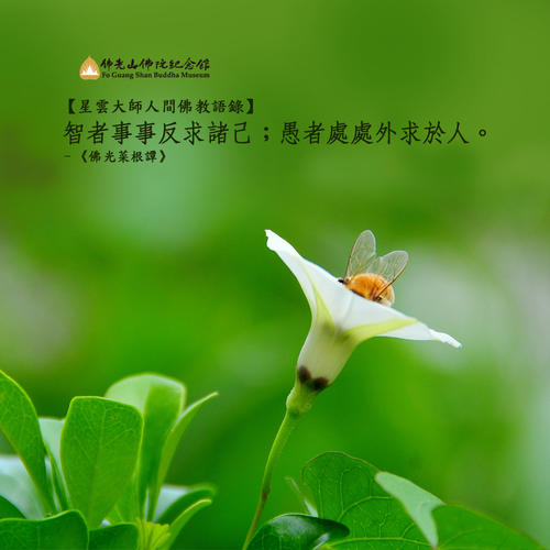 佛教语录