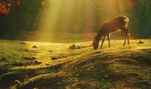 发朋友圈文艺的句子