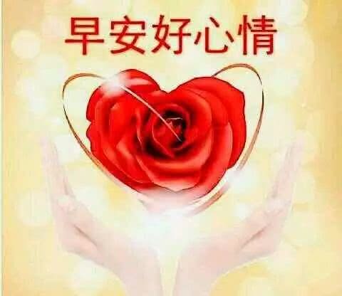 早上向领导致辞