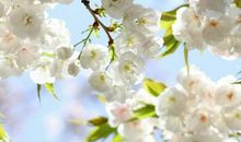 描写春天的朋友圈句子大全