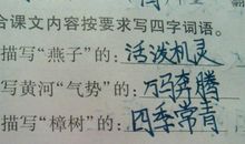 生日祝福四字词语