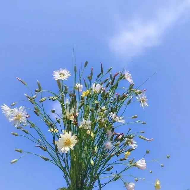 微信时刻快乐句子谈心情