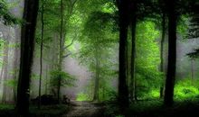 失恋心酸 哲理的句子