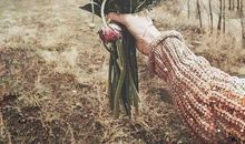 伤感无奈的爱情句子