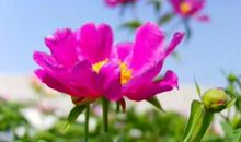 鼓励自己变强大的句子