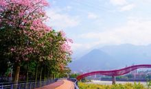 每天都积极开心的句子