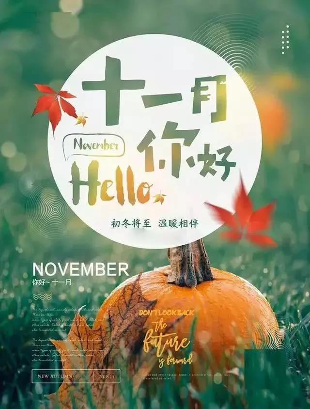 你好，十一月