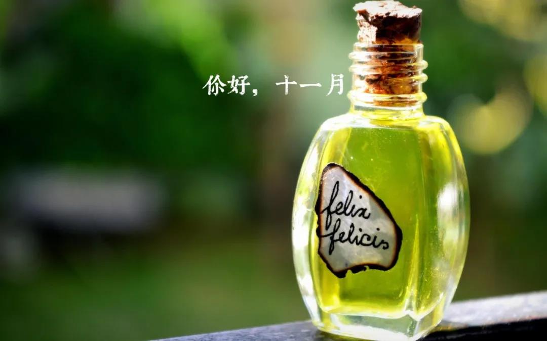 您好11月2日