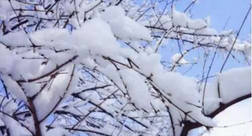 白雪皑皑的谈论情绪短语