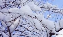 下雪的说说心情短语