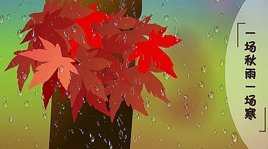 一句秋雨和寒冷