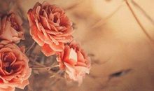 听音乐 让人心静的句子