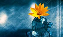 心静 夜晚的句子