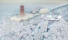 雪地里玩开心的句子