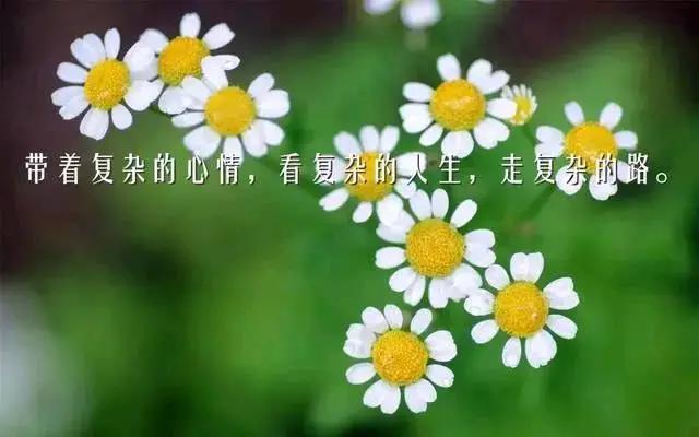 正能量句励志句