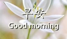 早安最美一句话