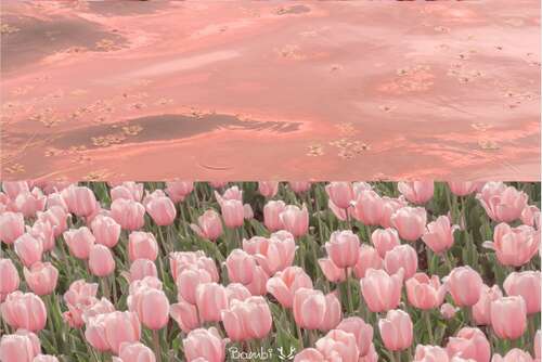 春天桃花开