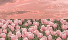 春桃花开的句子