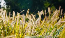 关于非常开心的句子