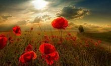 生活当中的唯美句子