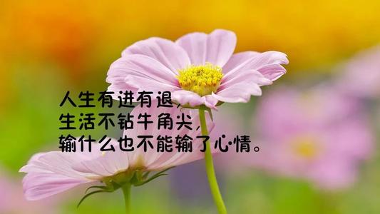 微信励志名