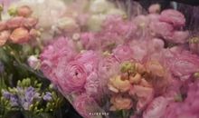 关于人生理想的优美句子文案